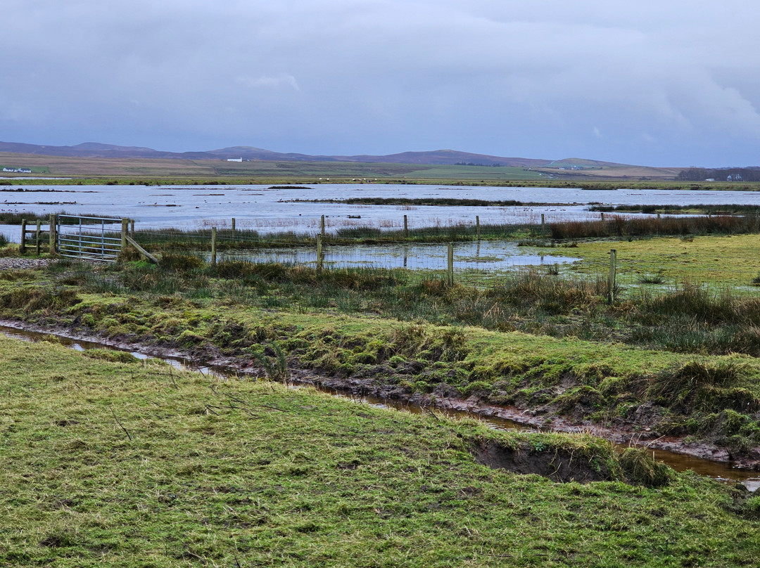 RSPB Loch Gruinart Reserve-Bridgend必去景点