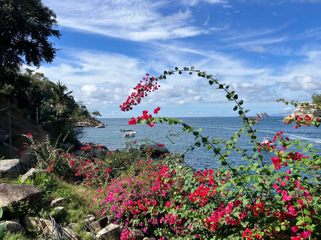 Casa de los Artistas主图