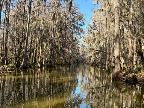 Premier Boat Tours-Mount Dora必去景点