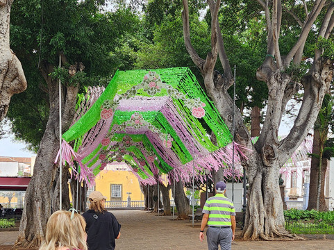 El Drago Milenario-伊科德洛斯维诺斯必去景点