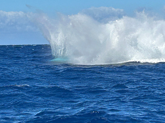 Adventure X Boat Tours-卡慕也拉必去景点
