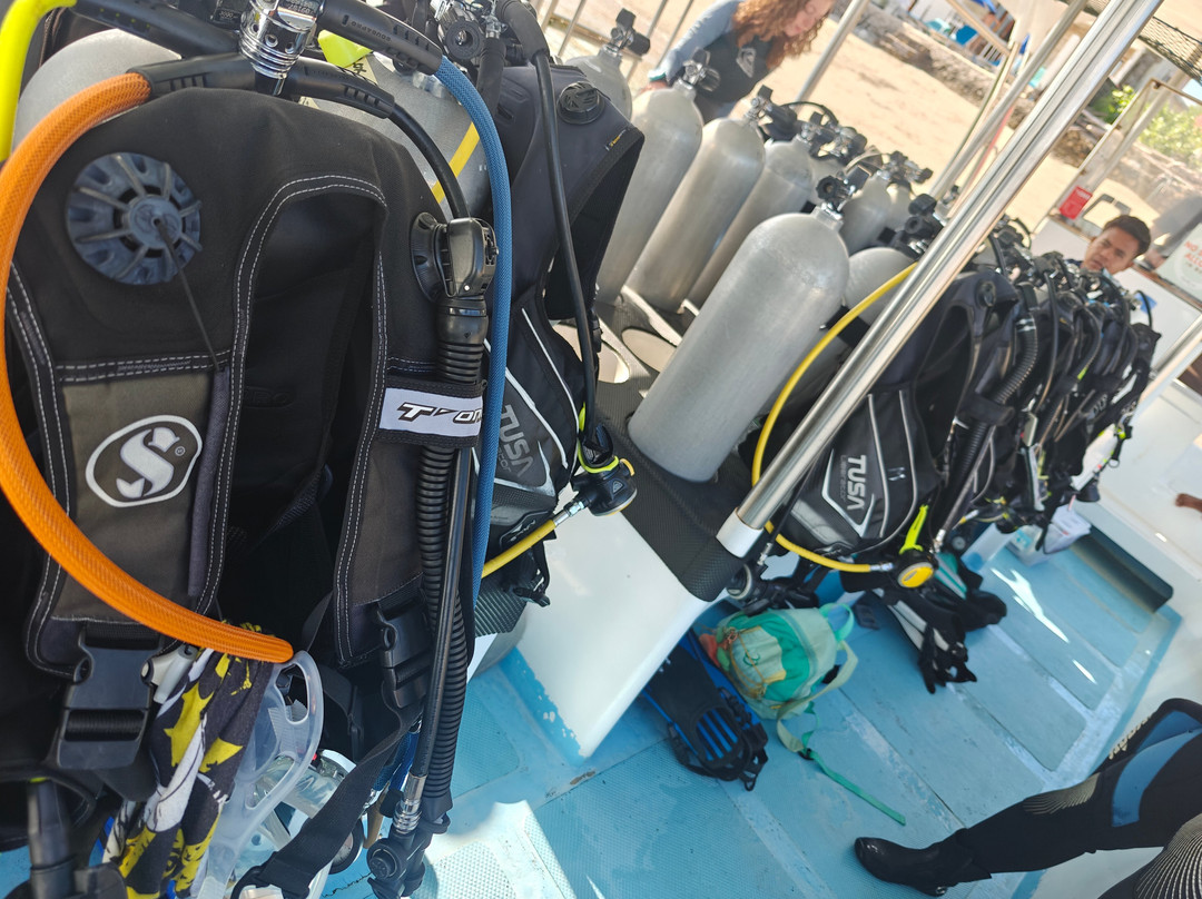 Mambo Dive Resort-珀尼达岛必去景点