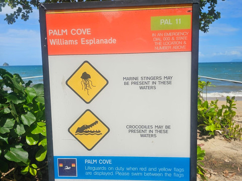 Palm Cove Beach-棕榈湾必去景点