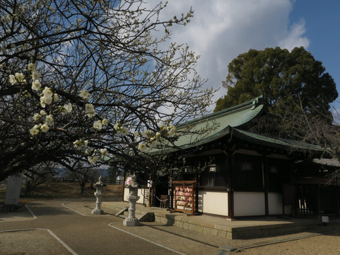 Yanagisawa Shrine-大和郡山市必去景点