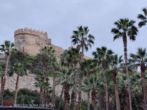 Parque Botanico El Majuelo-阿尔穆涅卡尔必去景点