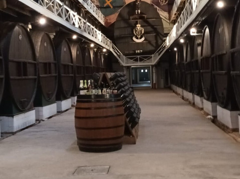 El Gaitero-比拉维西奥萨必去景点