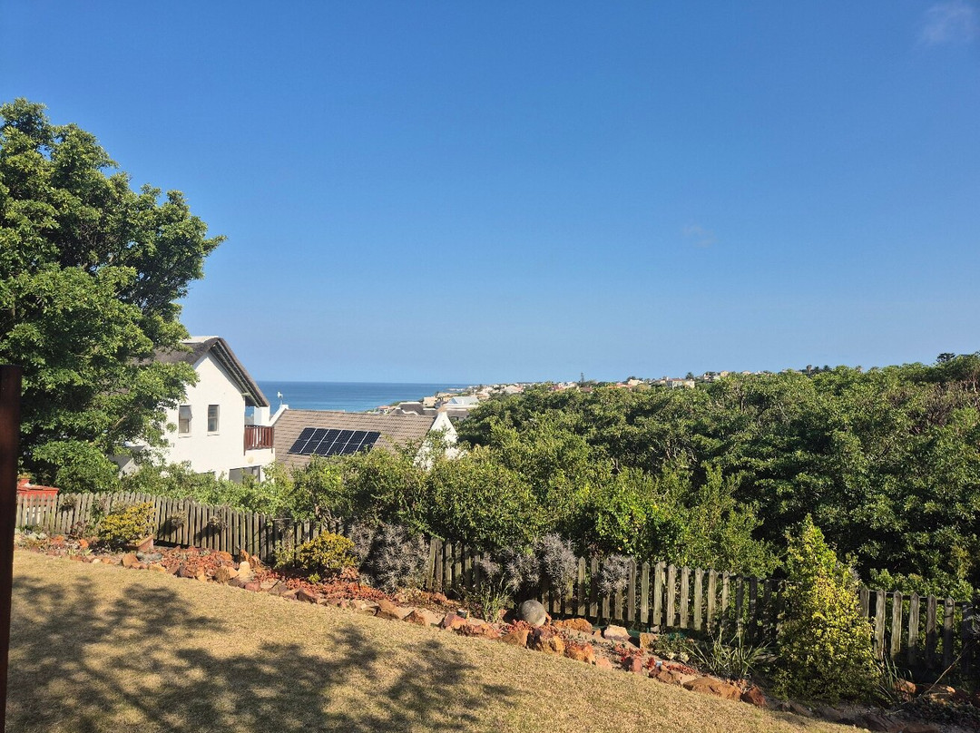 Cycads on Sea Guest House主图