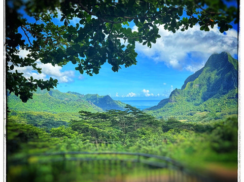 莫雷阿岛ATV之旅-莫雷阿岛必去景点