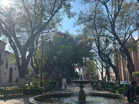 玫瑰花园-莫雷利亚必去景点