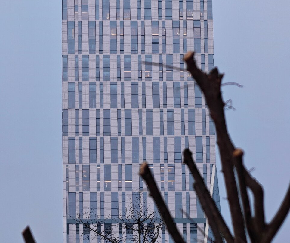China European Center