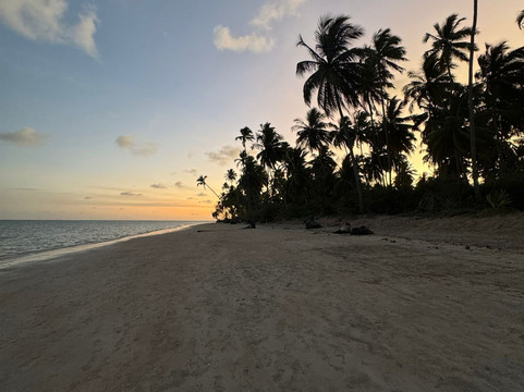 Praia Ponta de Mangue-Maragogi必去景点