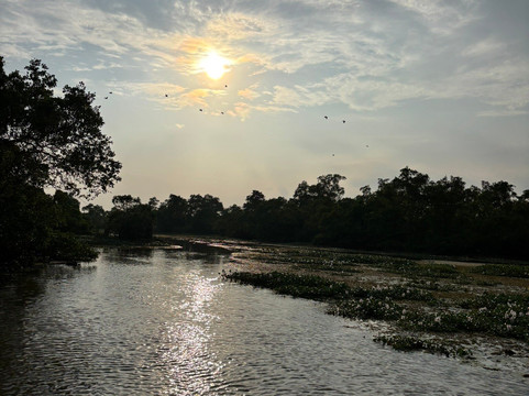 Kalametiya Lagoon Bird Sanctuary & Wetland Park-唐卡拉必去景点