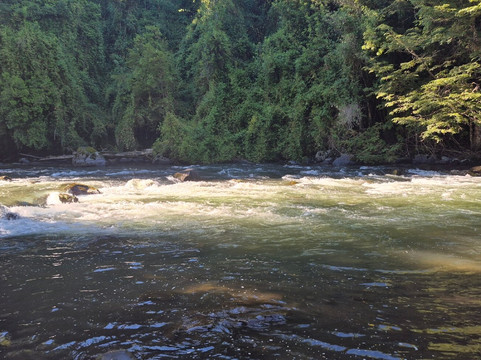 Vortice Park-Curacautin必去景点