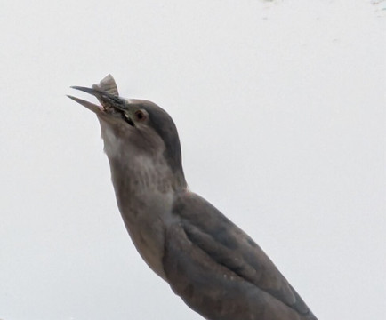 Deeg Palace-Deeg必去景点