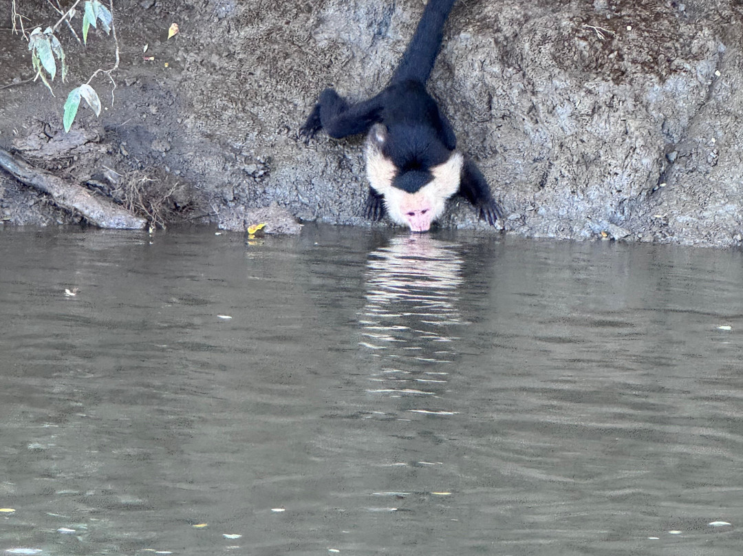 Jabiru Tours Palo Verde by Boat-Ortega必去景点