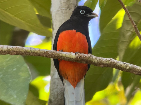 Ficus Tours-希门尼斯港必去景点