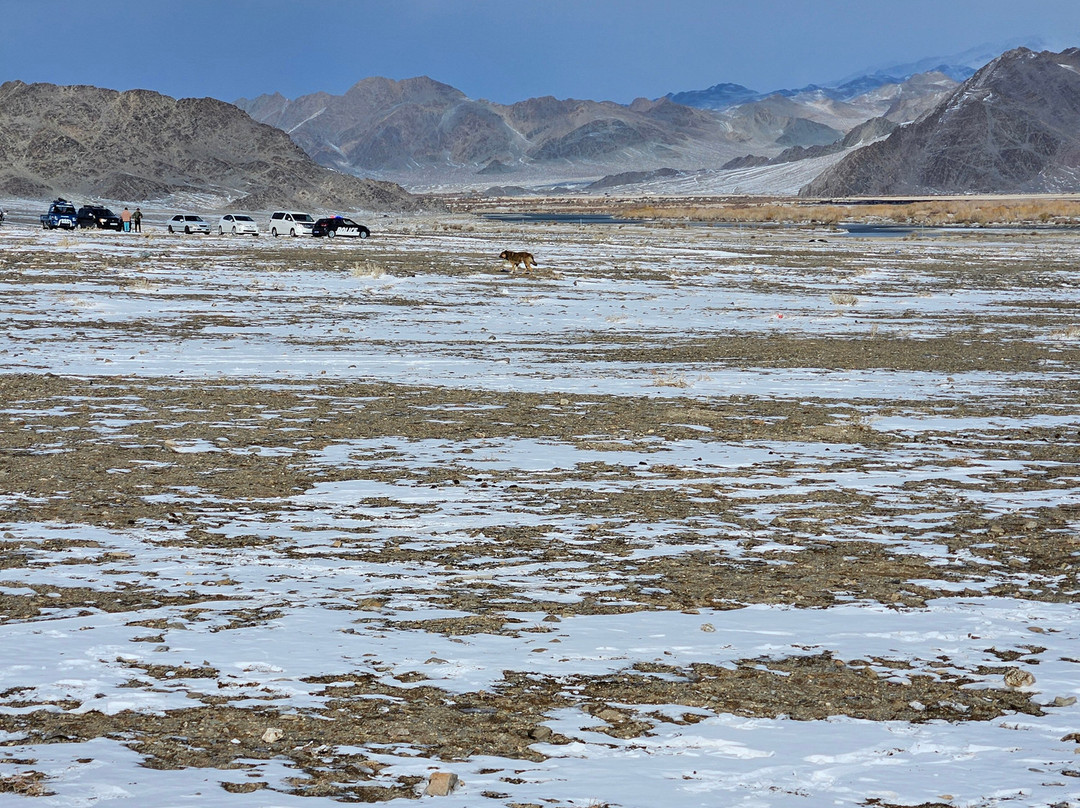 Mongolian Luxury Tours-乌兰巴托必去景点