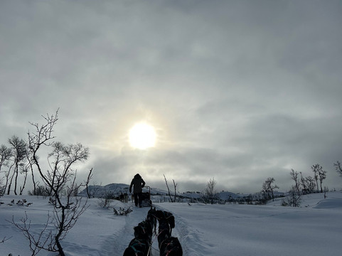 Haukeli Husky-Rauland必去景点