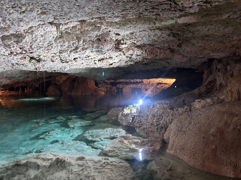 海洋观鲸鲨之旅-坎昆必去景点