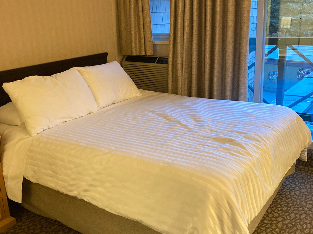 顶峰惠斯勒酒店主图