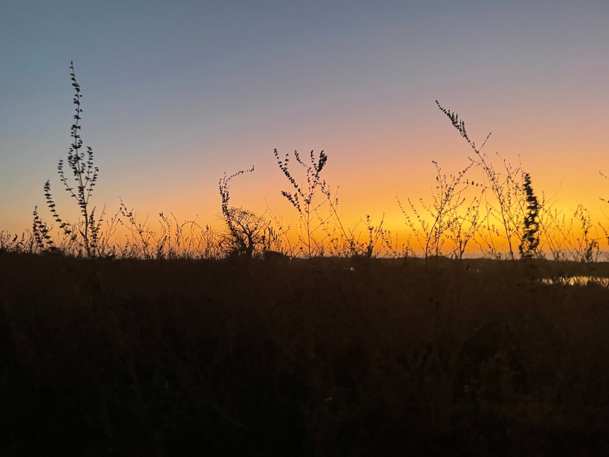 常绿度假酒店-官方