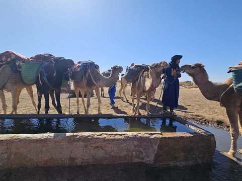 Wild Morocco-扎古拉必去景点