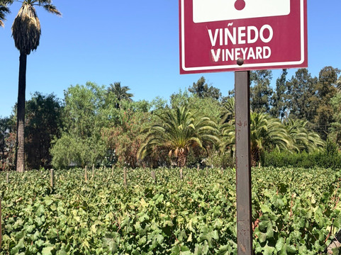 Vina El Escorial de Panquehue-San Felipe必去景点