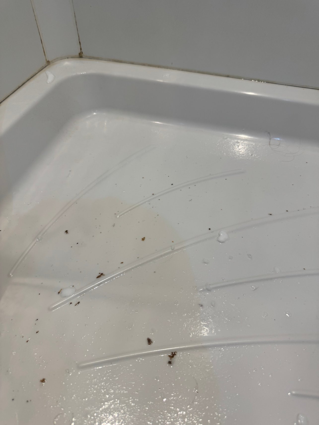 Butlin's Skegness Resort-浴室