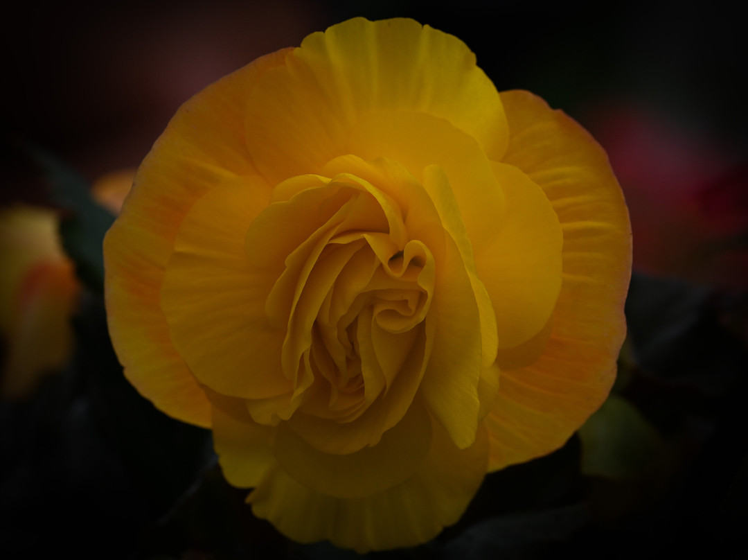 萨多勒里乡村别墅主图