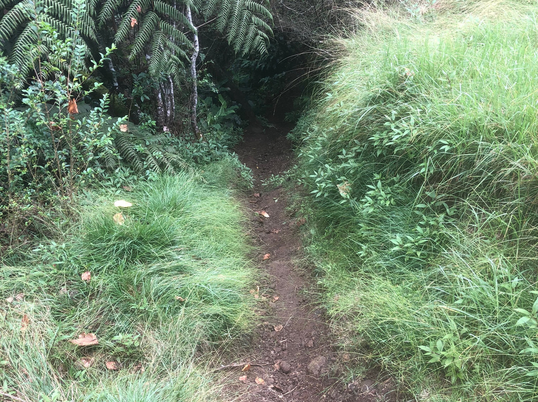 Réunion Mountain Bike-Etang Sale Les Bains必去景点