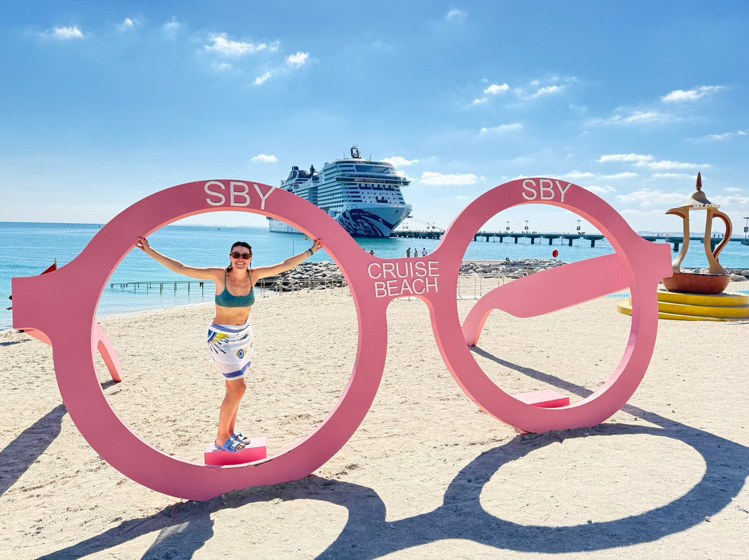 Sir Bani Yas Cruise Beach-萨巴尼亚岛必去景点