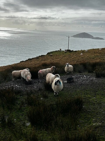 JBM Executive Travel-恩尼斯必去景点