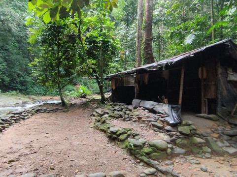 Sumatra Tour & Travel Bukit Lawang-武吉拉旺必去景点