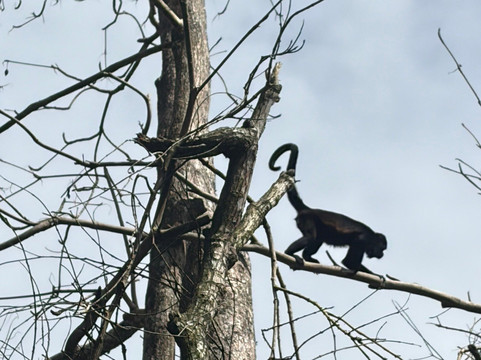 Abel Bustamante - Tour Guide-Manzanillo必去景点