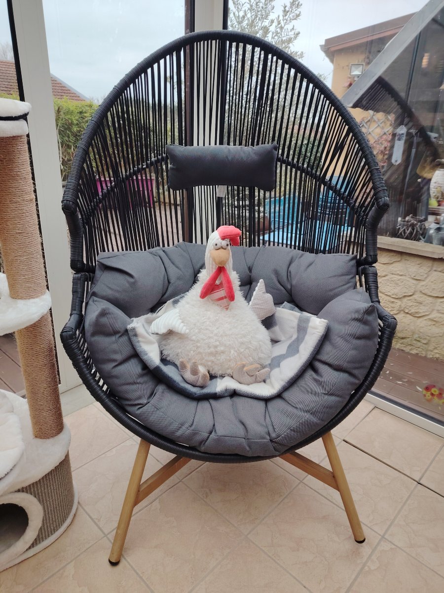 Au Ptit Nid Lorrain-官方