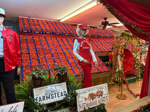 Florida Strawberry Festival-普兰特城必去景点