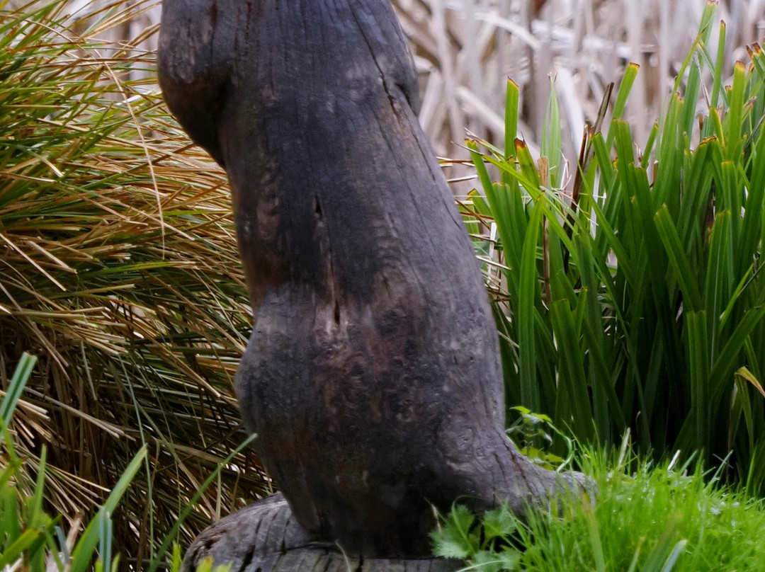 Gooderstone Water Gardens & Nature Trails-金斯林必去景点