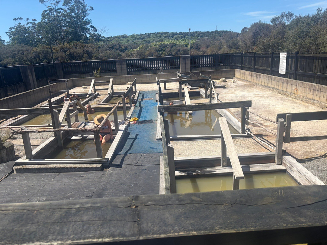 Ngawha Springs-凯科希必去景点