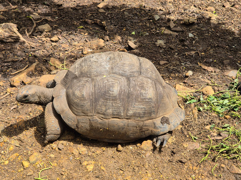 MadaDays-诺西贝必去景点