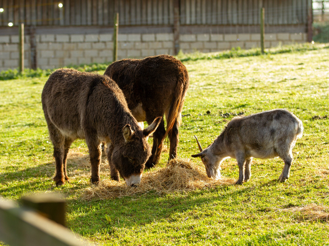 Wappenham Farm