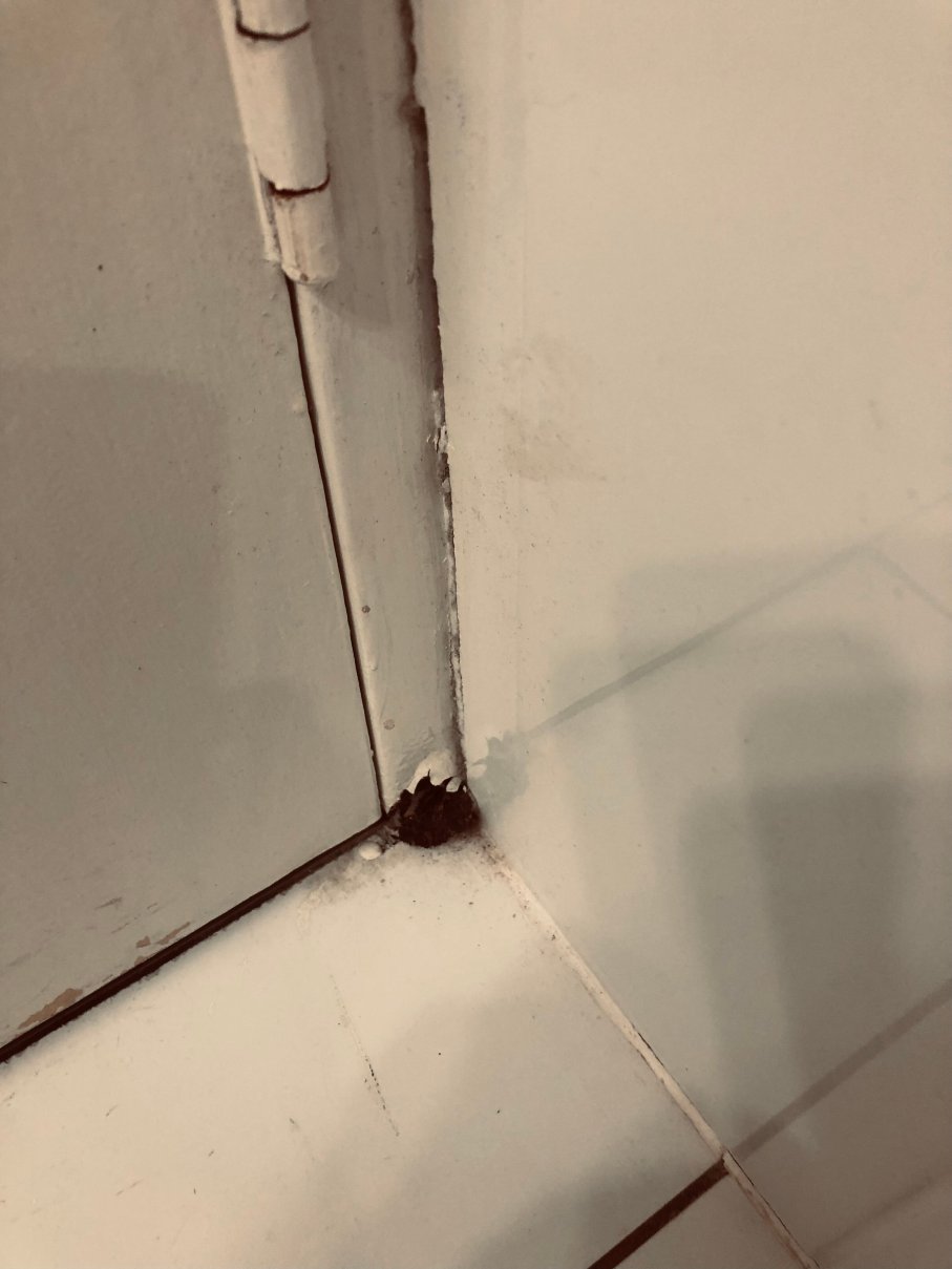 海滨奥珀尔卡芙度假酒店-官方