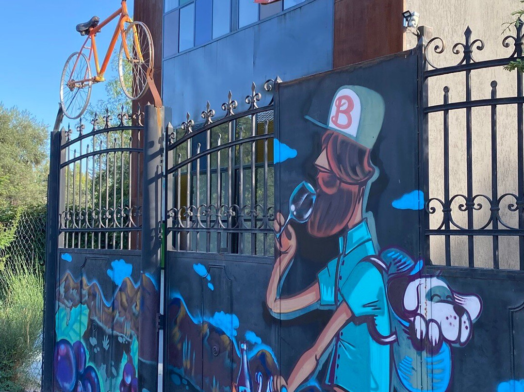 SAK Wine & Travel-门多萨必去景点