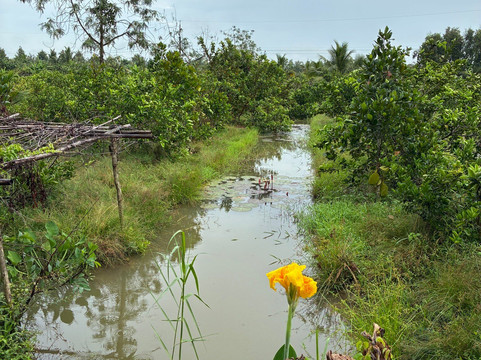 Can Tho Touring with Susan-芹苴必去景点