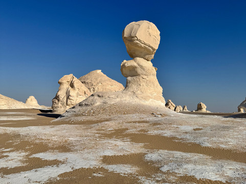 tamer safari-开罗必去景点