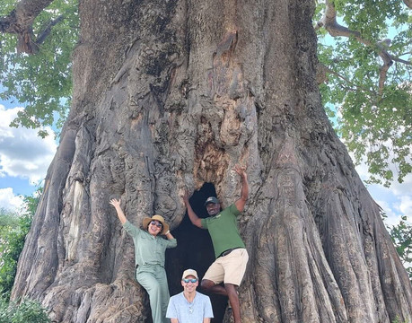 Msafiri Tanzania-莫西必去景点