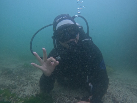 Bravamar Diving Center-Algarrobo必去景点