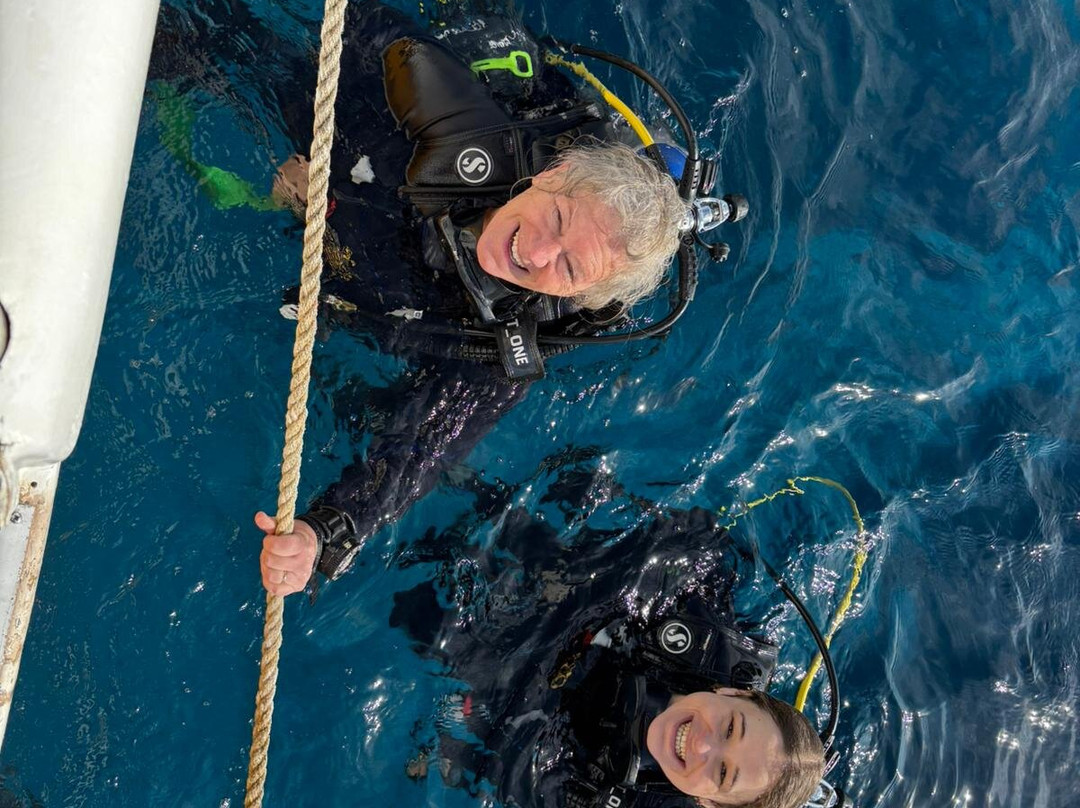 Dressel Divers Puerto Aventuras-阿范特拉斯港必去景点