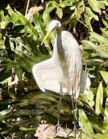 Ecoparque Ciénaga De Mallorquín-Barranquilla必去景点