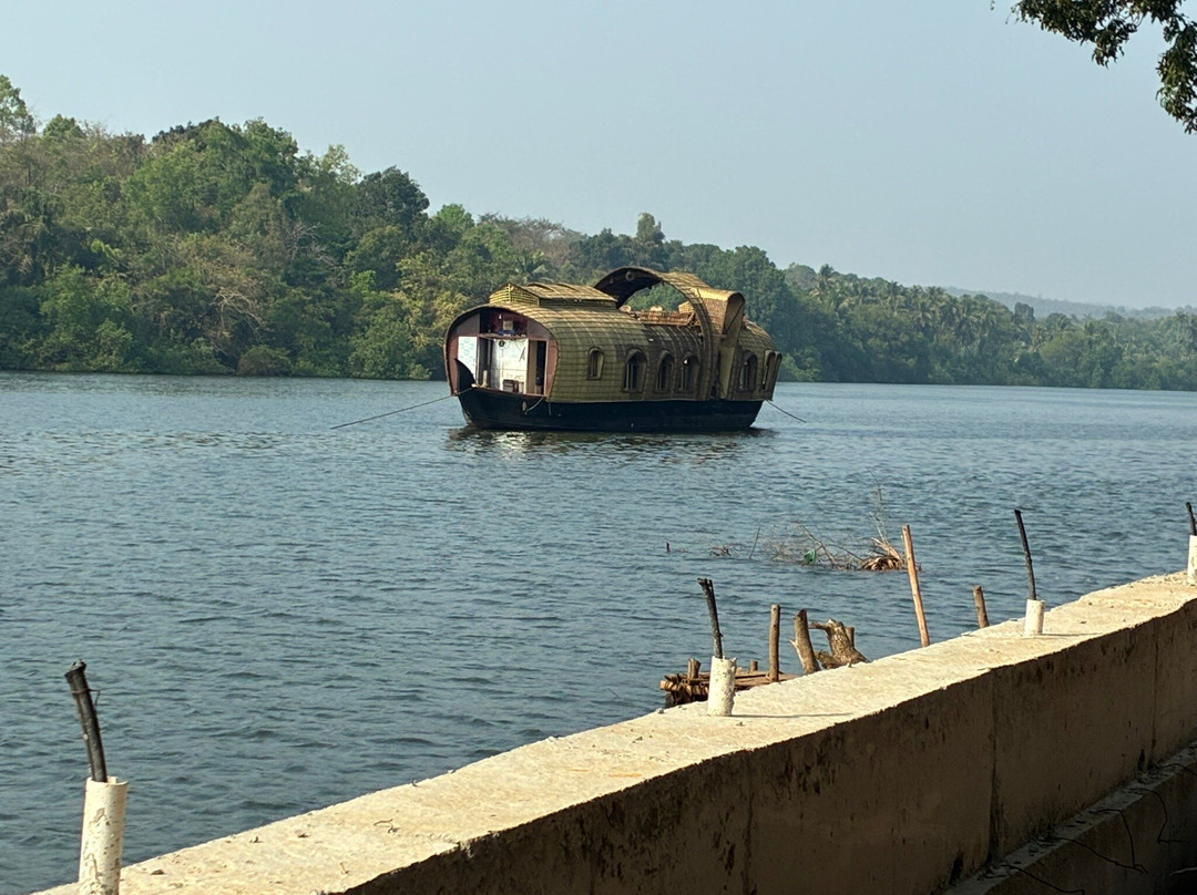 John's Boat Tours - Day Tours-坎多林必去景点