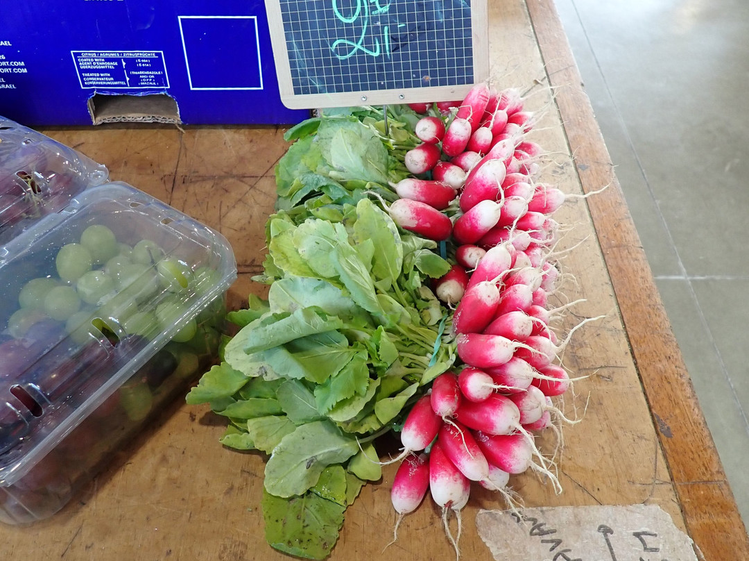 Marché Couvert de Charleville-Mézières-沙勒维尔梅济耶尔必去景点